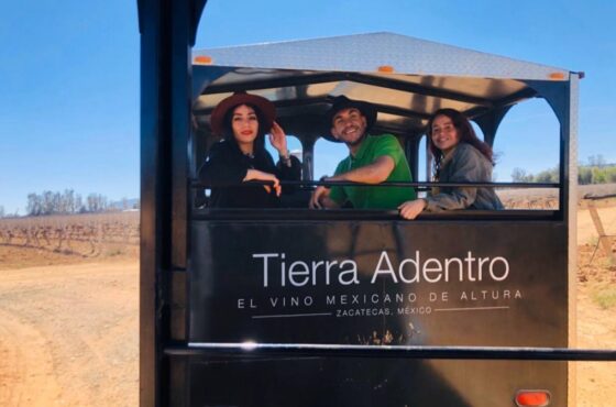 Recorrido 2: Viñedo Campo Real