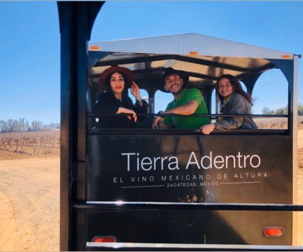 Recorrido 2: Viñedo Campo Real